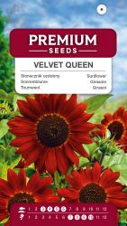 Sunflower Velvet Queen Seed